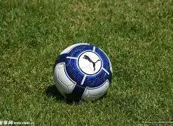 冬奥精神,团结奋进,超越极限的,B体育官方,B体育在线官网,B体育线上,B体育APP