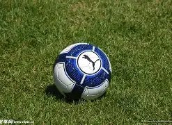 体育,资讯,B体育,B体育官方,B体育在线官网,B体育线上,B体育APP