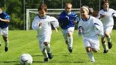 黄铜棒CW617N价格查询